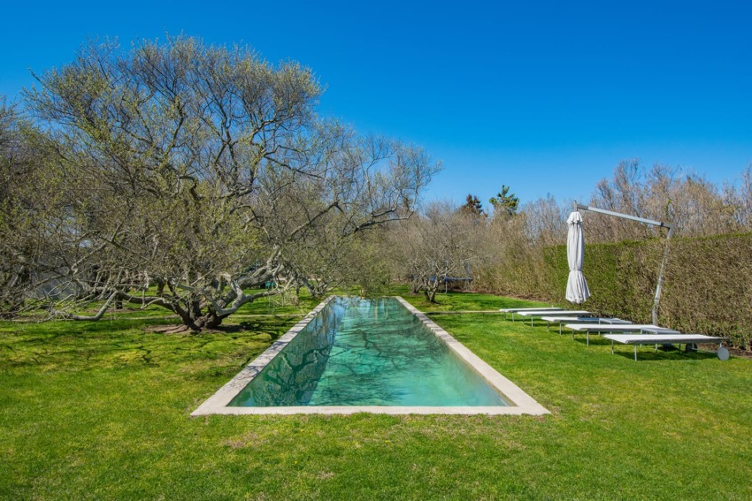 Rectangular outdoor pool surrounded by trees and lounge chairs on a bright sunny day.