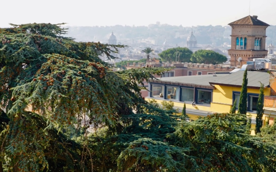View of a cityscape with lush green trees in the foreground and historic buildings in the background on a clear day.