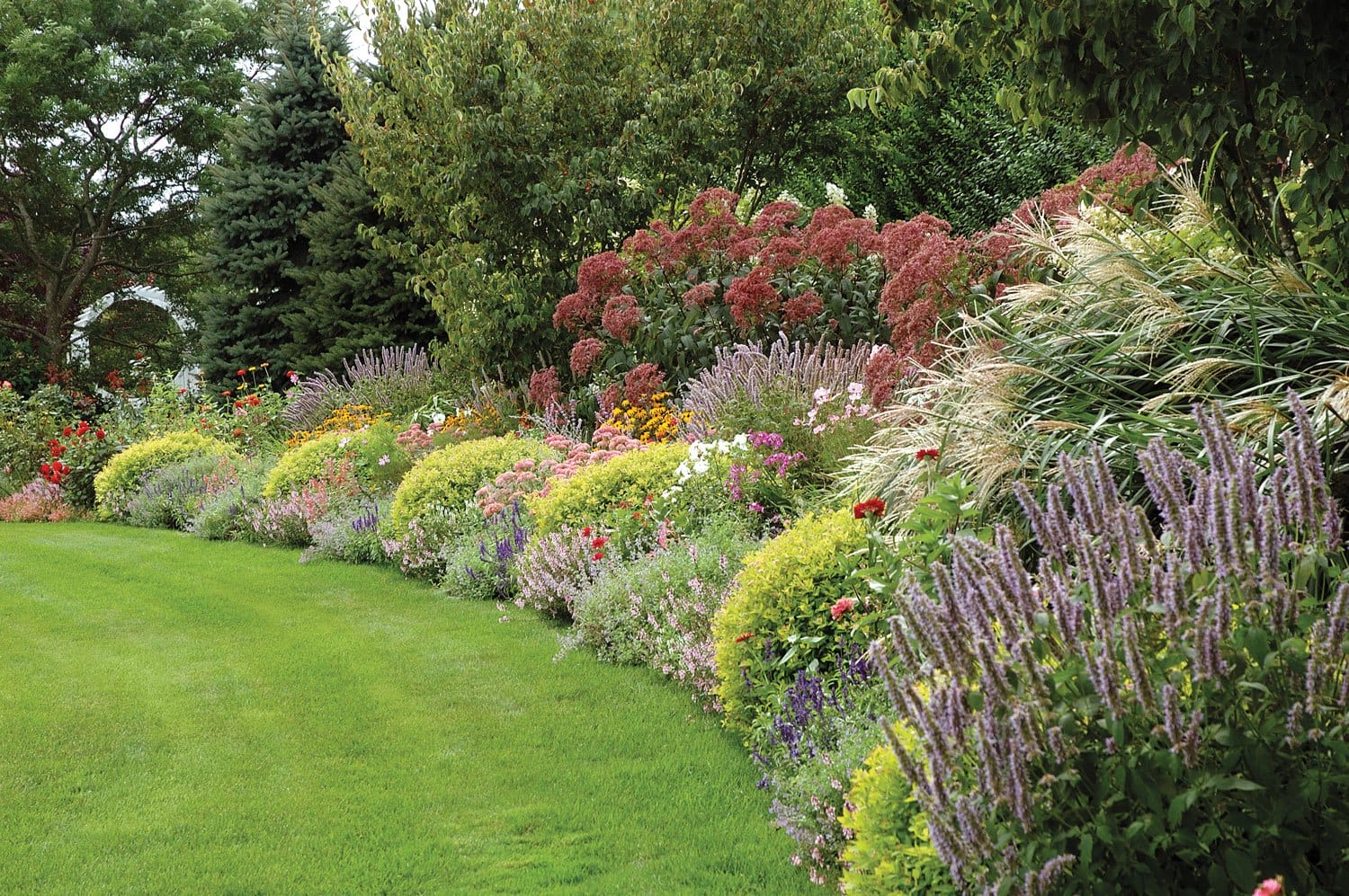 Lush garden with variety of colorful flowers and shrubs alongside a green lawn under a clear sky.