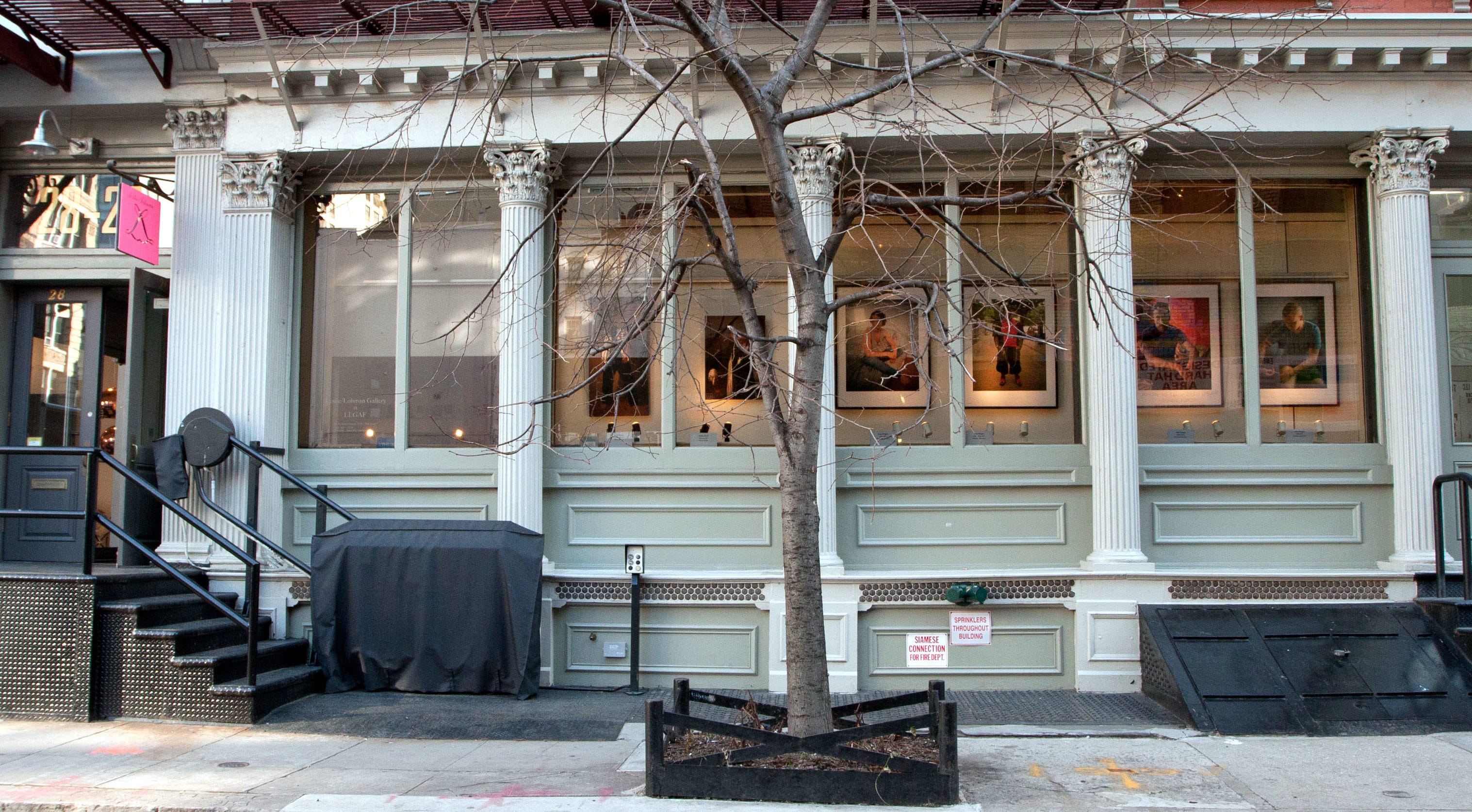 Art gallery exterior with classical columns and framed artworks visible through large windows, tree in the foreground.