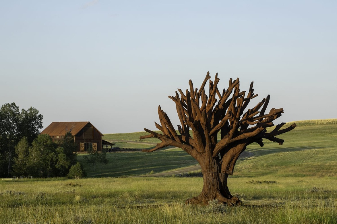 A sculpted tree stands in a grassy field with a rustic building and trees in the background under a clear sky.