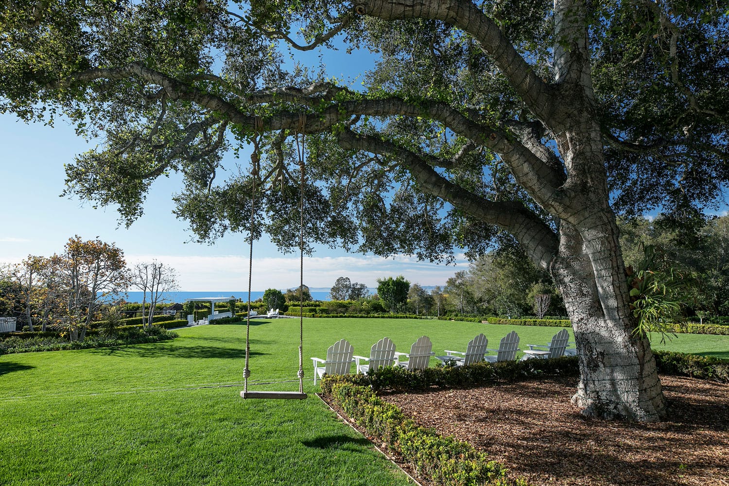 Landscape with tree swing, Adirondack chairs, and lush green lawn under a clear blue sky.