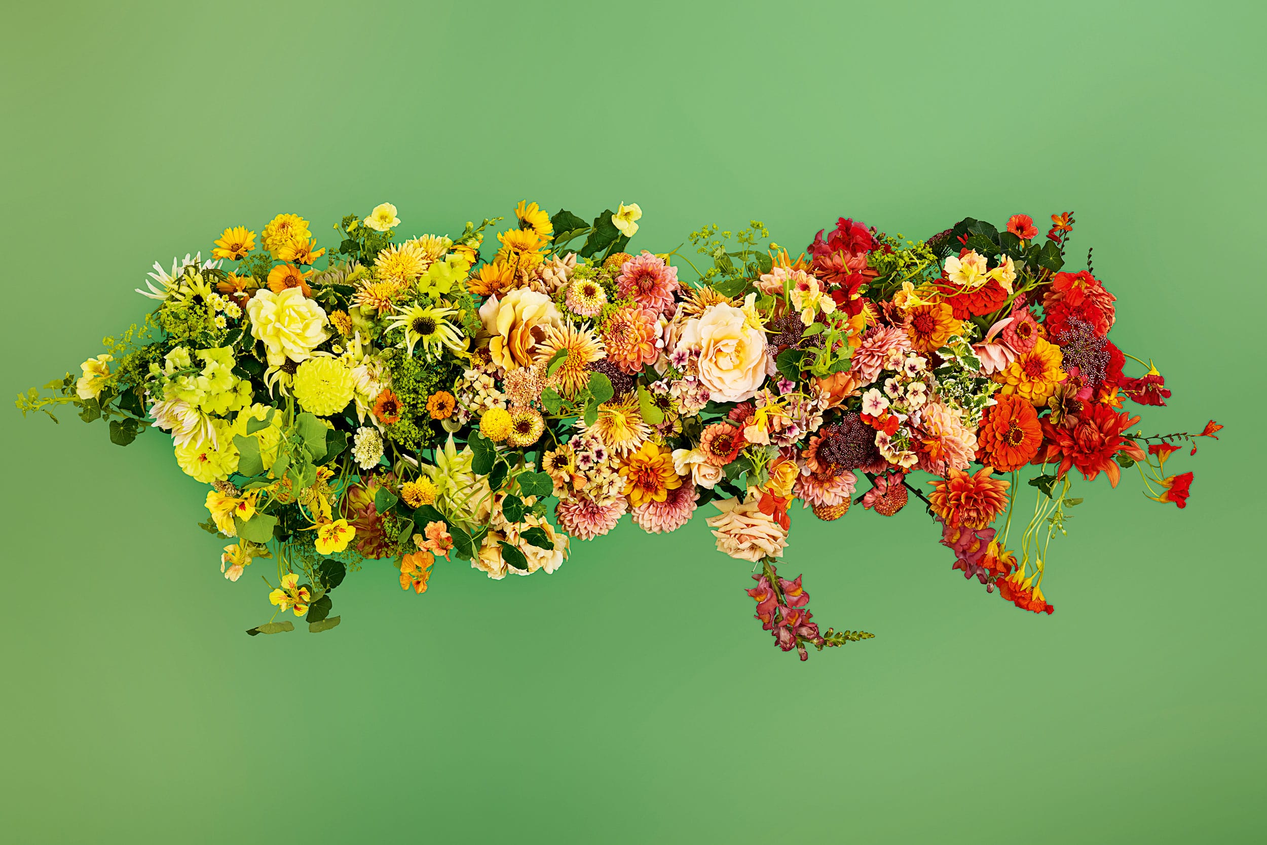 A variety of colorful flowers arranged on a green background, including roses, daisies, and marigolds.