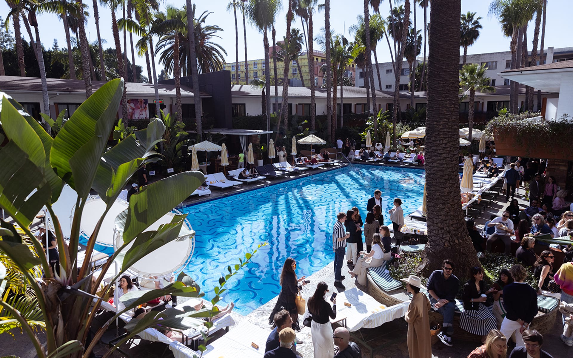 Hotel poolside scene with people relaxing and mingling under palm trees, surrounded by lounge chairs and umbrellas.