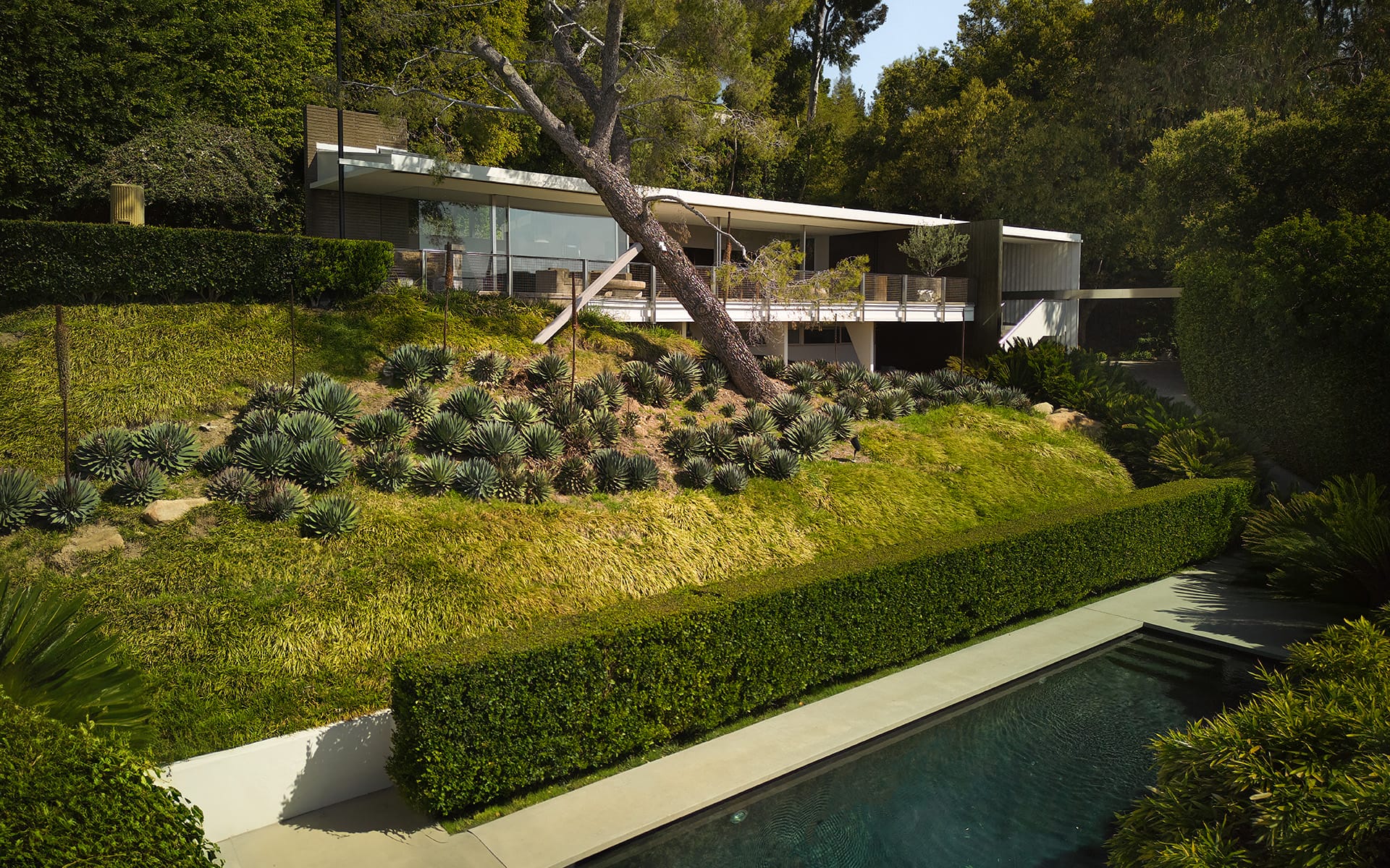 Modern hillside house with large windows, surrounded by lush greenery and a swimming pool in the foreground.