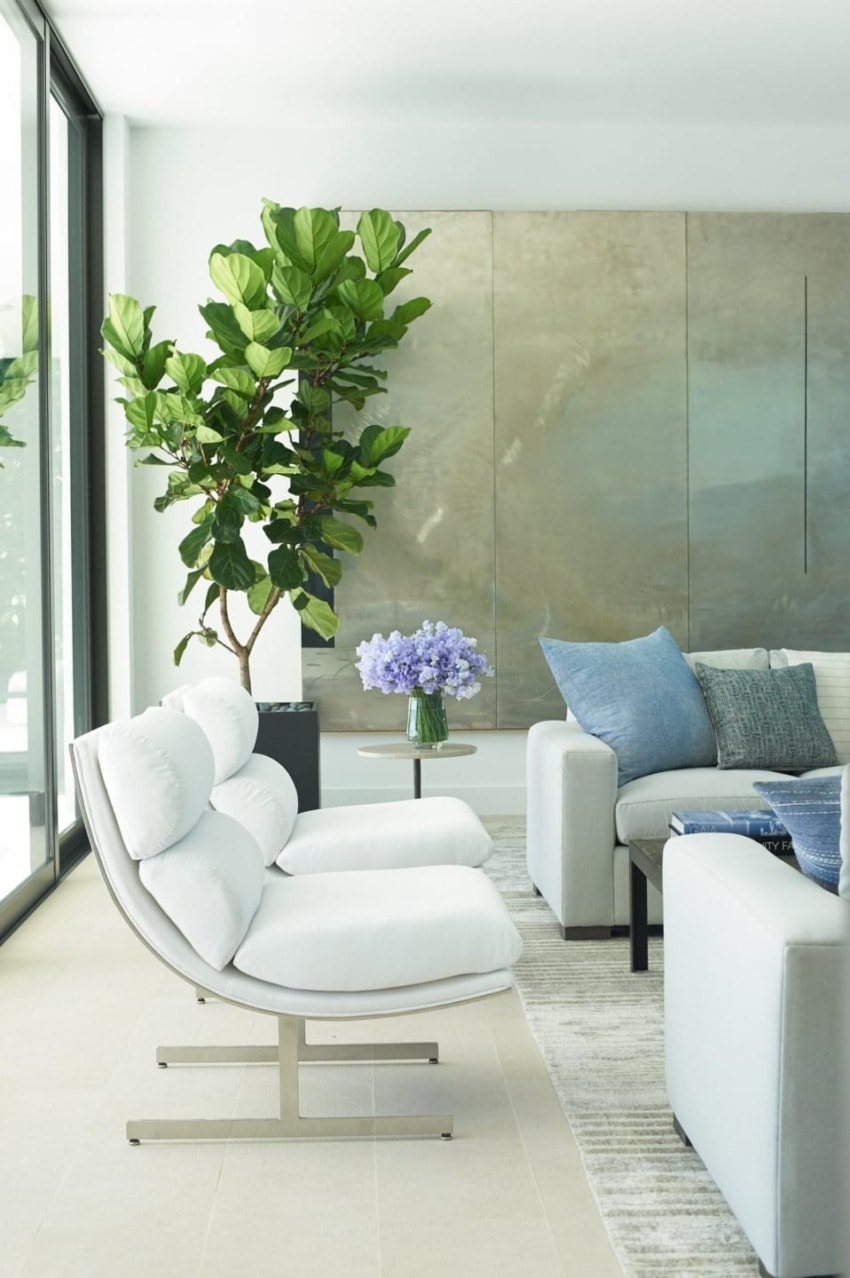 Modern living room with white chairs, blue cushions, large plant, and wall art. Bright, airy space with natural light.