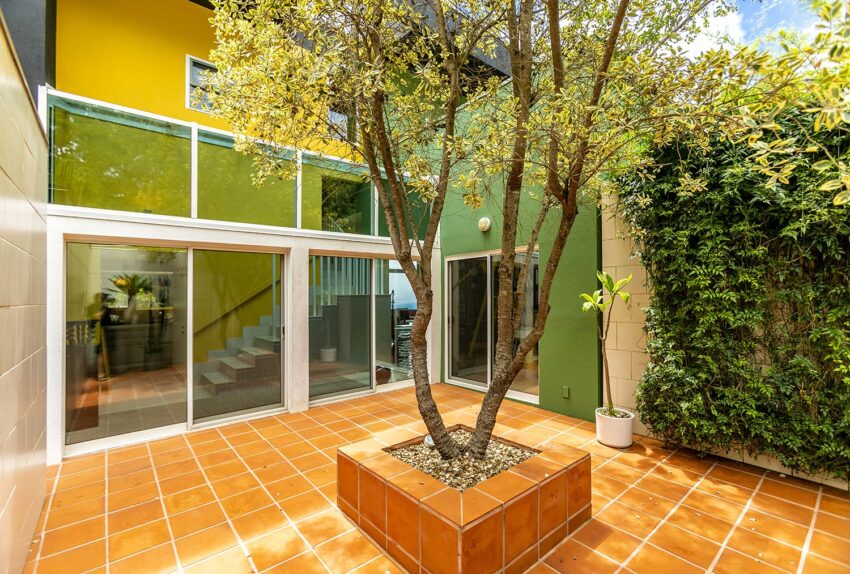 Courtyard with vibrant yellow and green walls, featuring a central tree in a tiled planter and lush foliage surrounding.