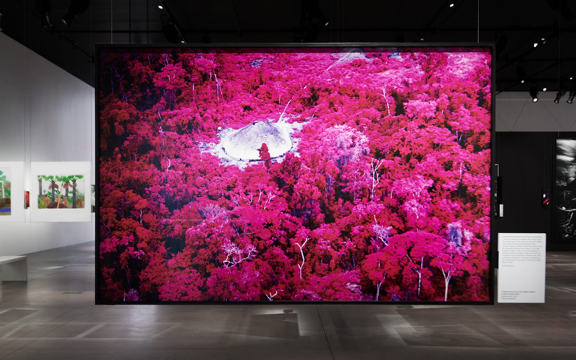 Large framed image of a vibrant pink forest displayed in a modern art gallery setting.