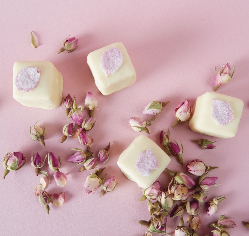 White chocolate cubes with sugared rose petals surrounded by small rosebuds on a pink background.