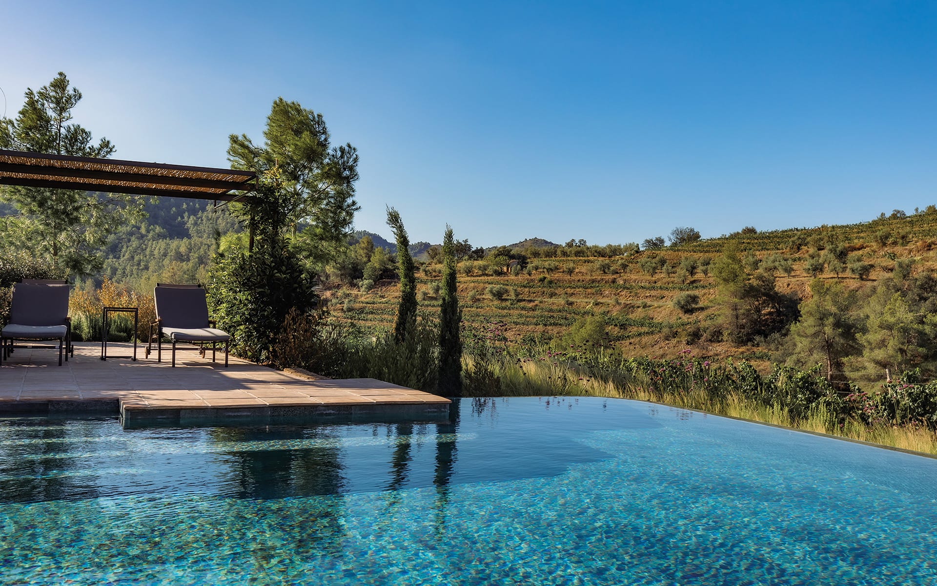 Infinity pool with two lounge chairs beside it, overlooking a lush, tree-filled landscape under a clear blue sky.