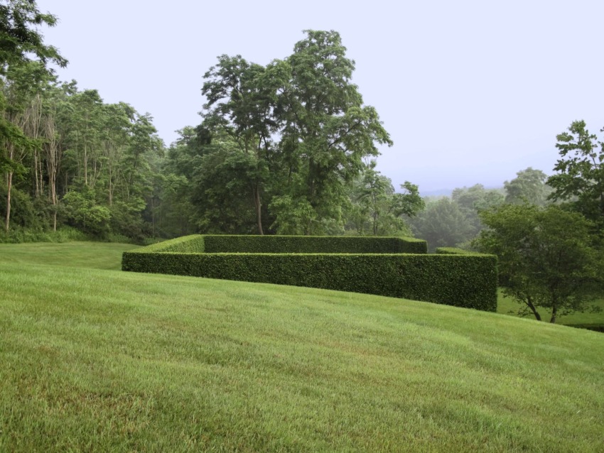 A landscaped lawn with a geometric hedge and trees in the background under a clear sky.
