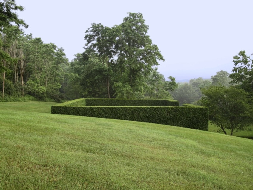 A landscaped lawn with a geometric hedge and trees in the background under a clear sky.