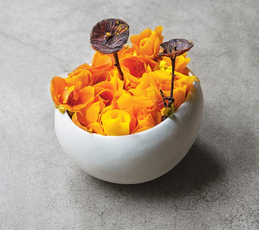 White ceramic bowl filled with vibrant orange petals and three brown seed pods on a gray textured surface.