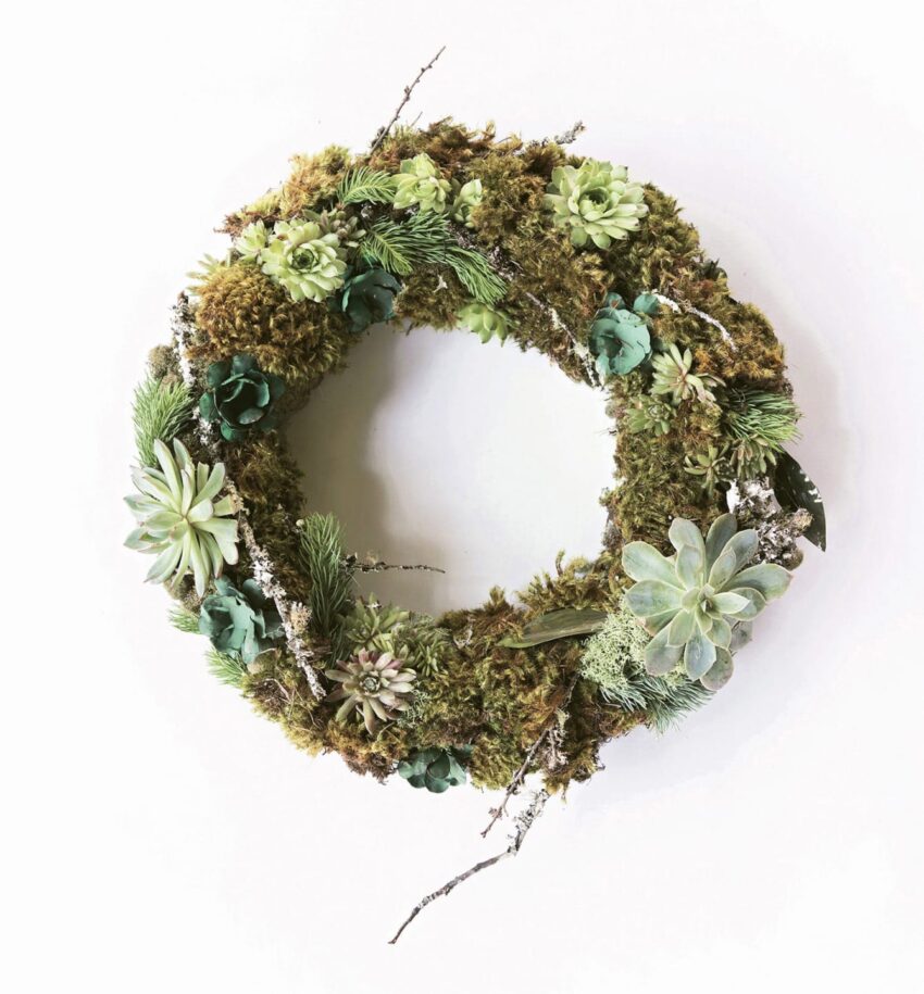 Green succulent and moss wreath with twigs on a white background.