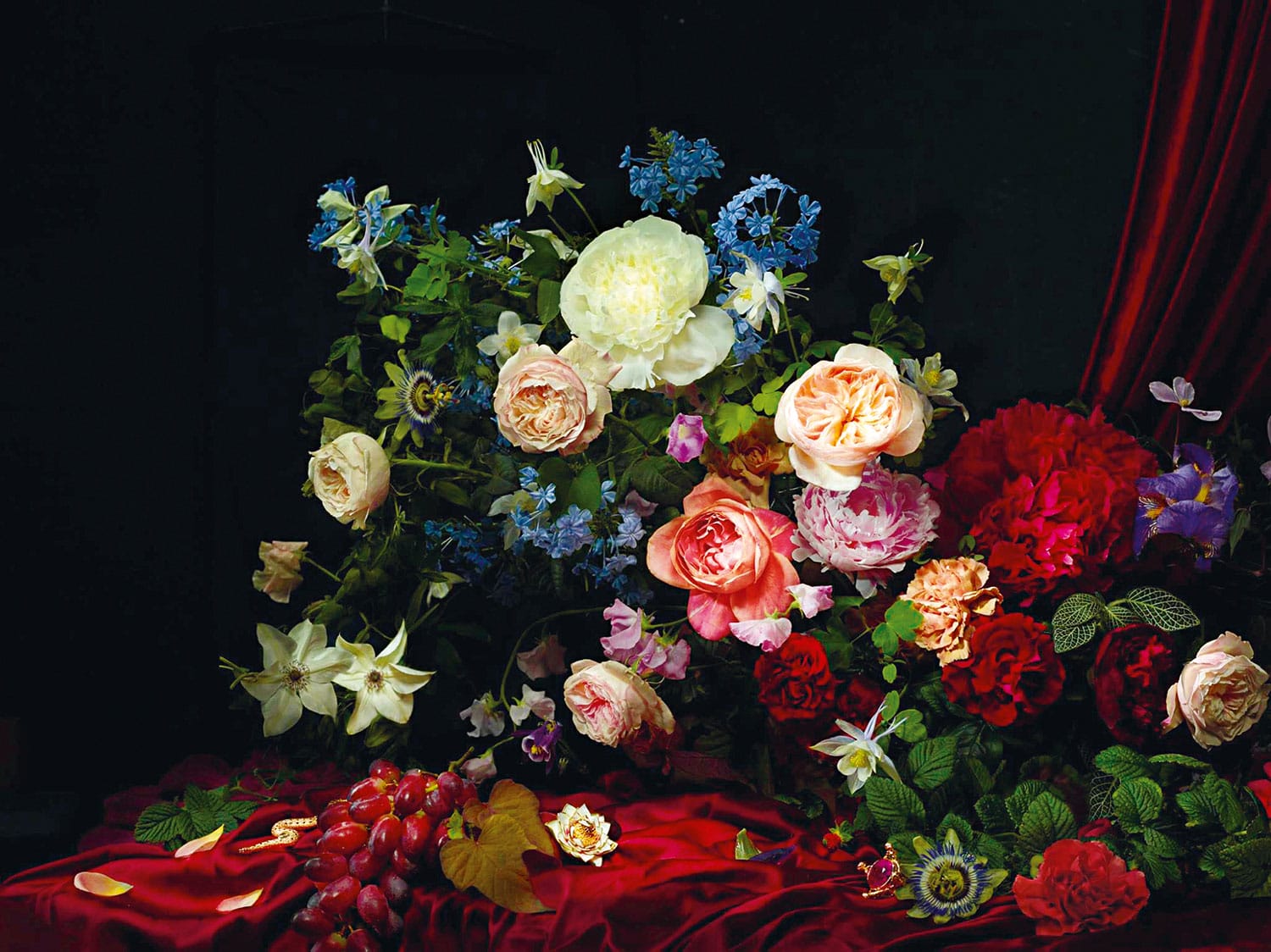 Still life with a variety of colorful flowers and grapes on a rich red draped cloth against a dark background.