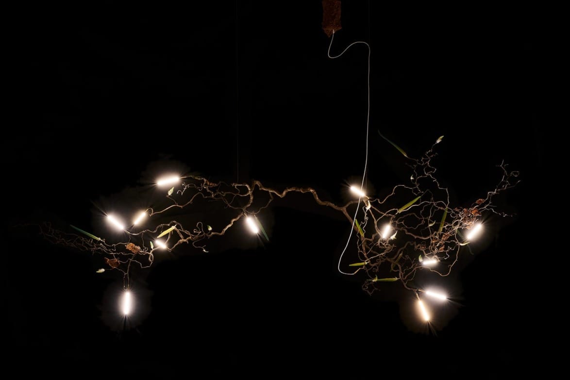 Abstract arrangement of glowing lights suspended in darkness, appearing like interconnected roots or branches.