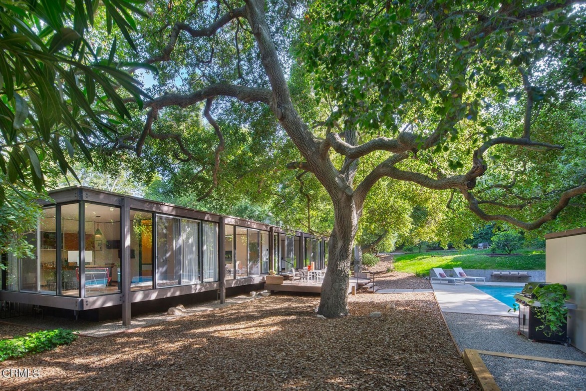 Modern glass house surrounded by lush trees with a pool in the backyard and a wooden deck for outdoor seating