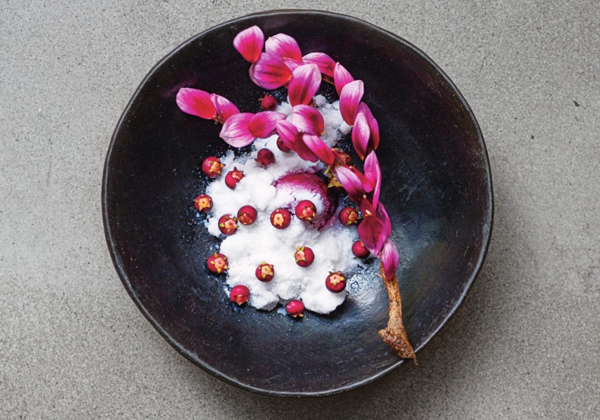Black bowl with pink and red decorative edible flowers and berries on a gray surface.