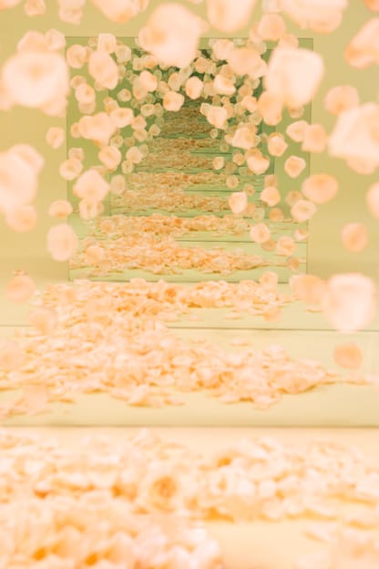 Floating and scattered pink rose petals creating a dreamy, infinite reflection in a mirrored room with soft lighting