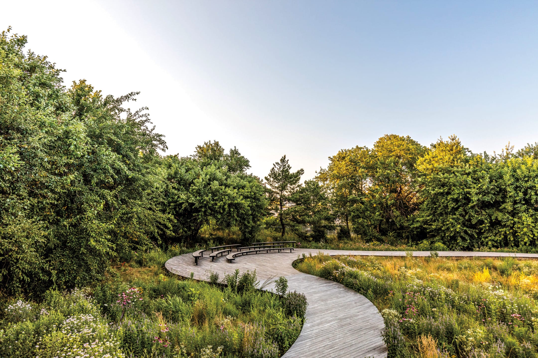Curved wooden pathway through lush green park with tall trees and wildflowers under a clear blue sky.