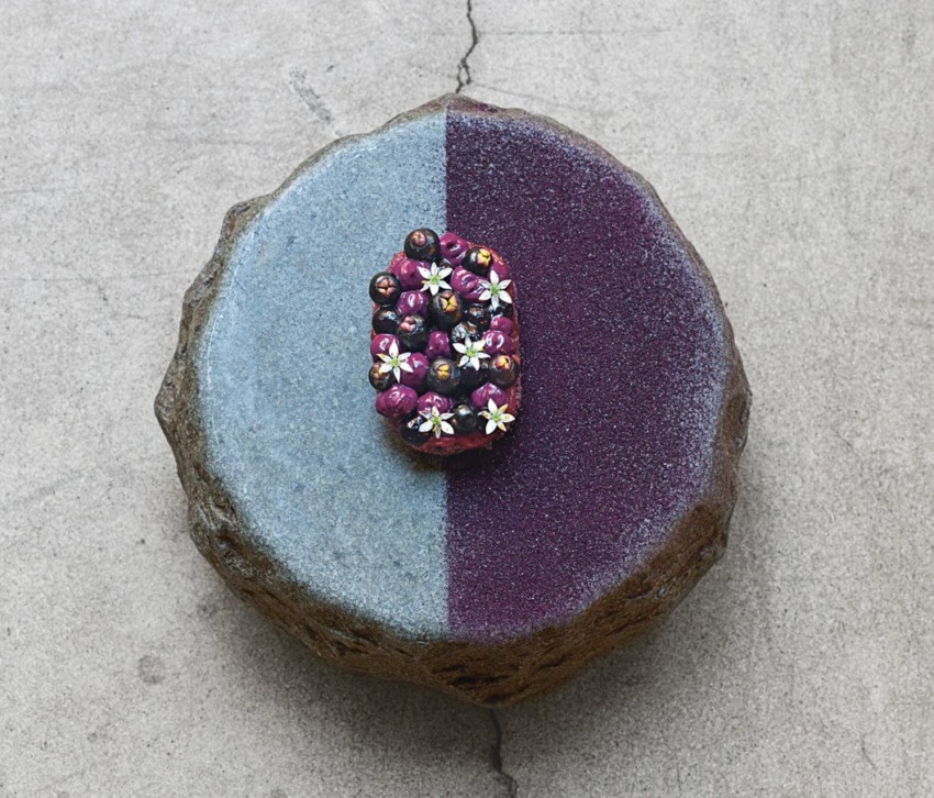 Stone cake with two-tone icing and a berry decoration on a cracked surface