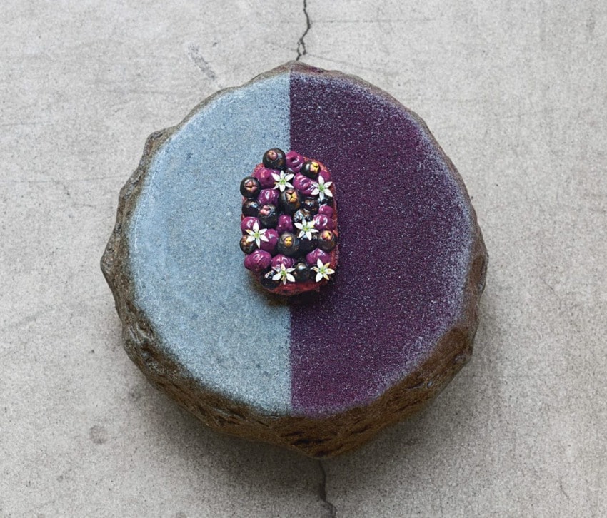 Stone cake with two-tone icing and a berry decoration on a cracked surface
