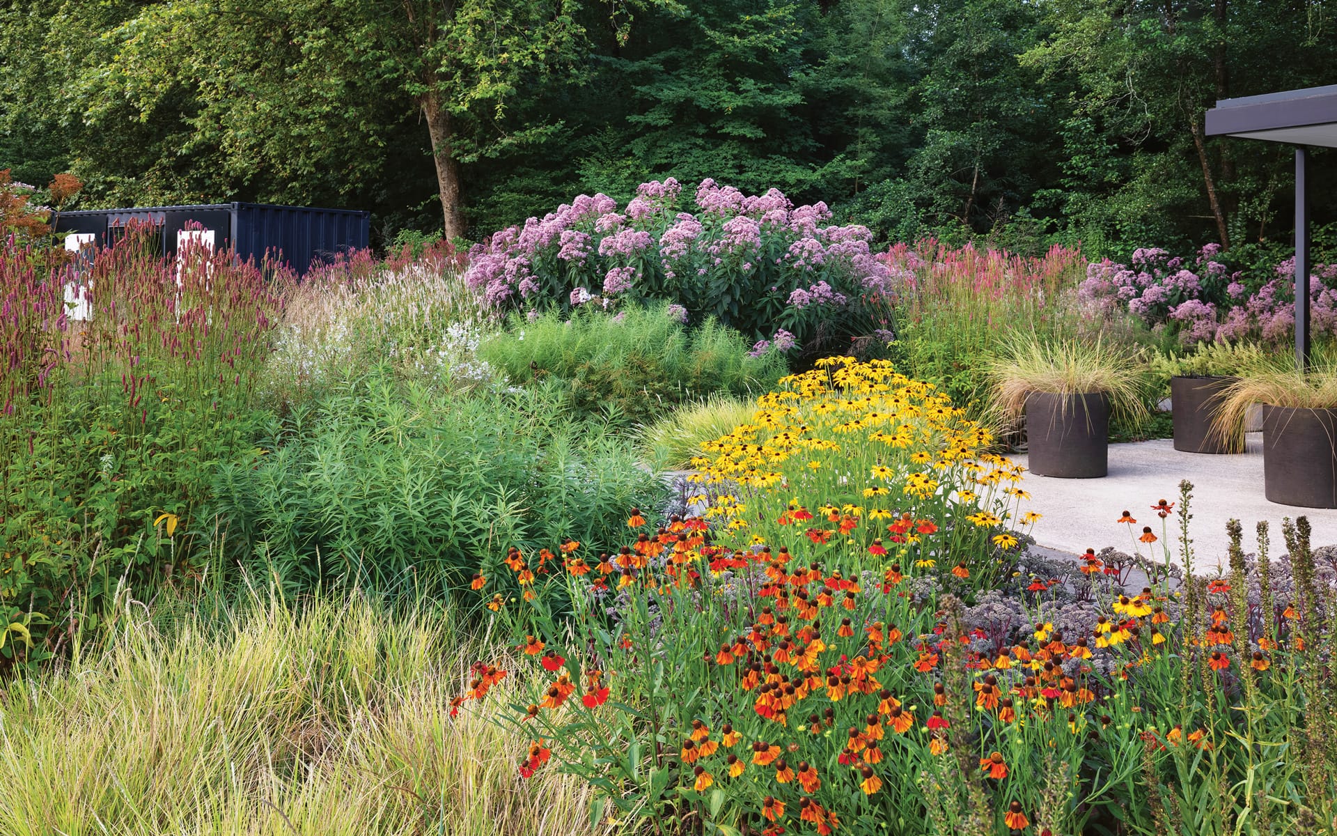 A vibrant garden with colorful flowers and lush greenery, featuring yellow, red, and pink blossoms under a clear sky.