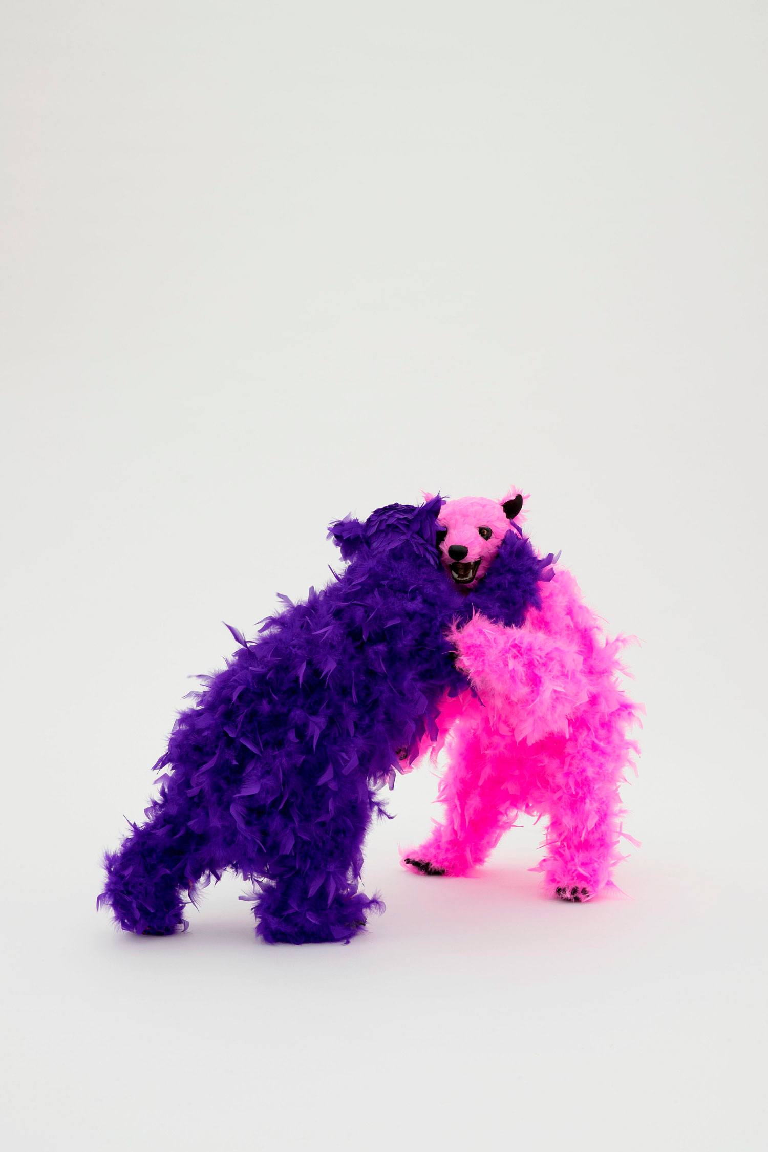 Two bears covered in fluffy pink and purple feathers standing and interacting in a light-colored space.