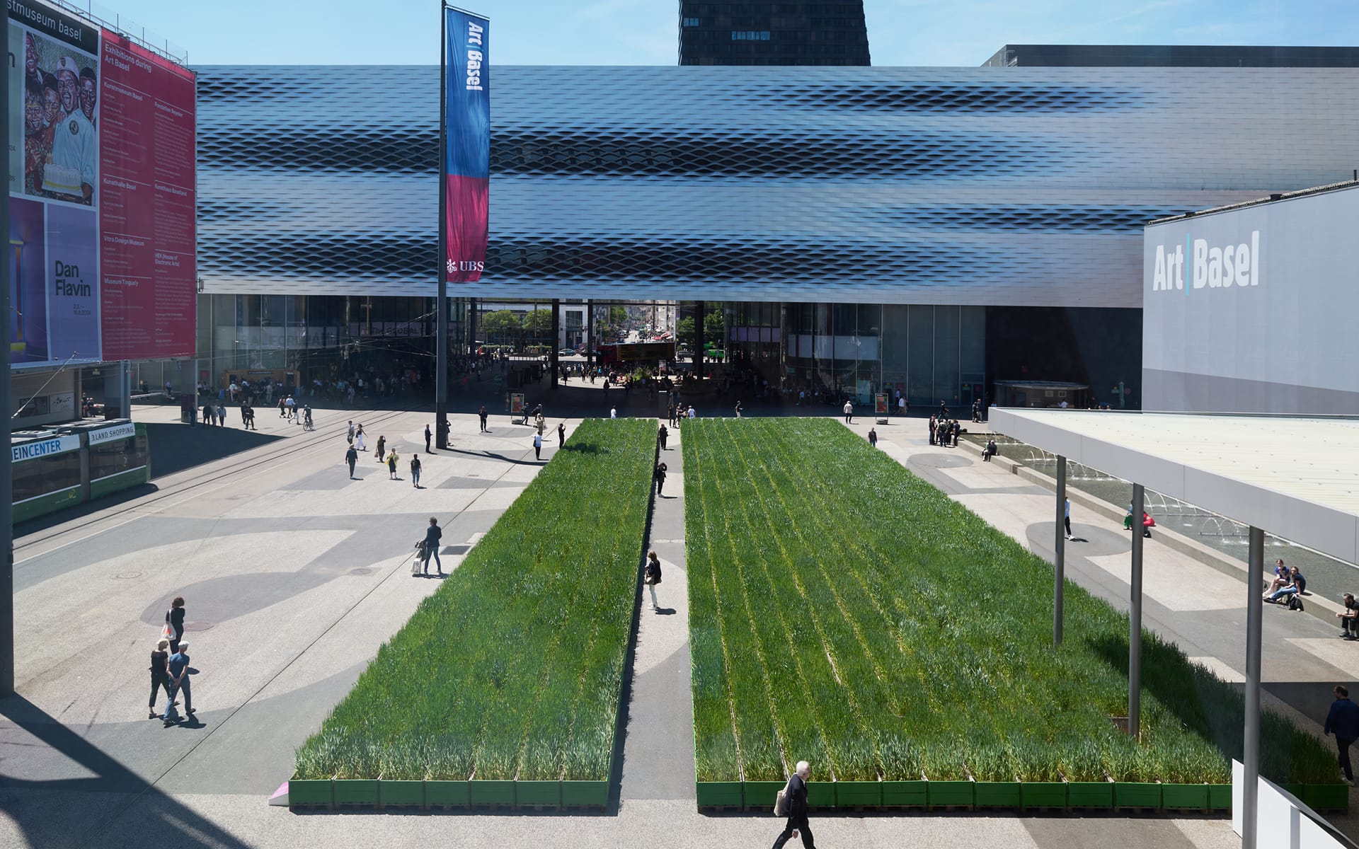 Installation view of Agnes Denes’s artwork Honoring Wheatfield - A Confrontation (2024) in Basel, (2024) at Art Basel