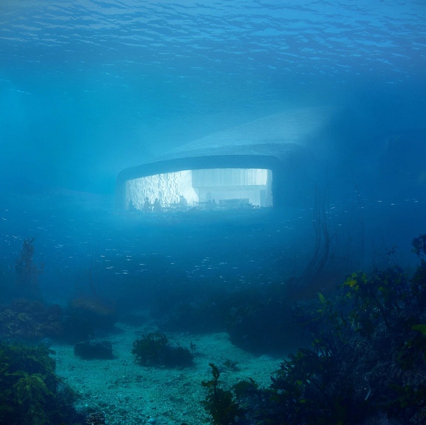 Underwater restaurant with large glass window immersed in blue ocean surrounded by marine life and sea plants.