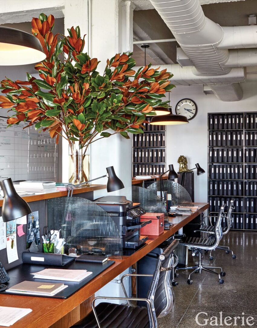 Modern office with desk row, black chairs, a large plant, and shelves of black binders in a brightly lit space.