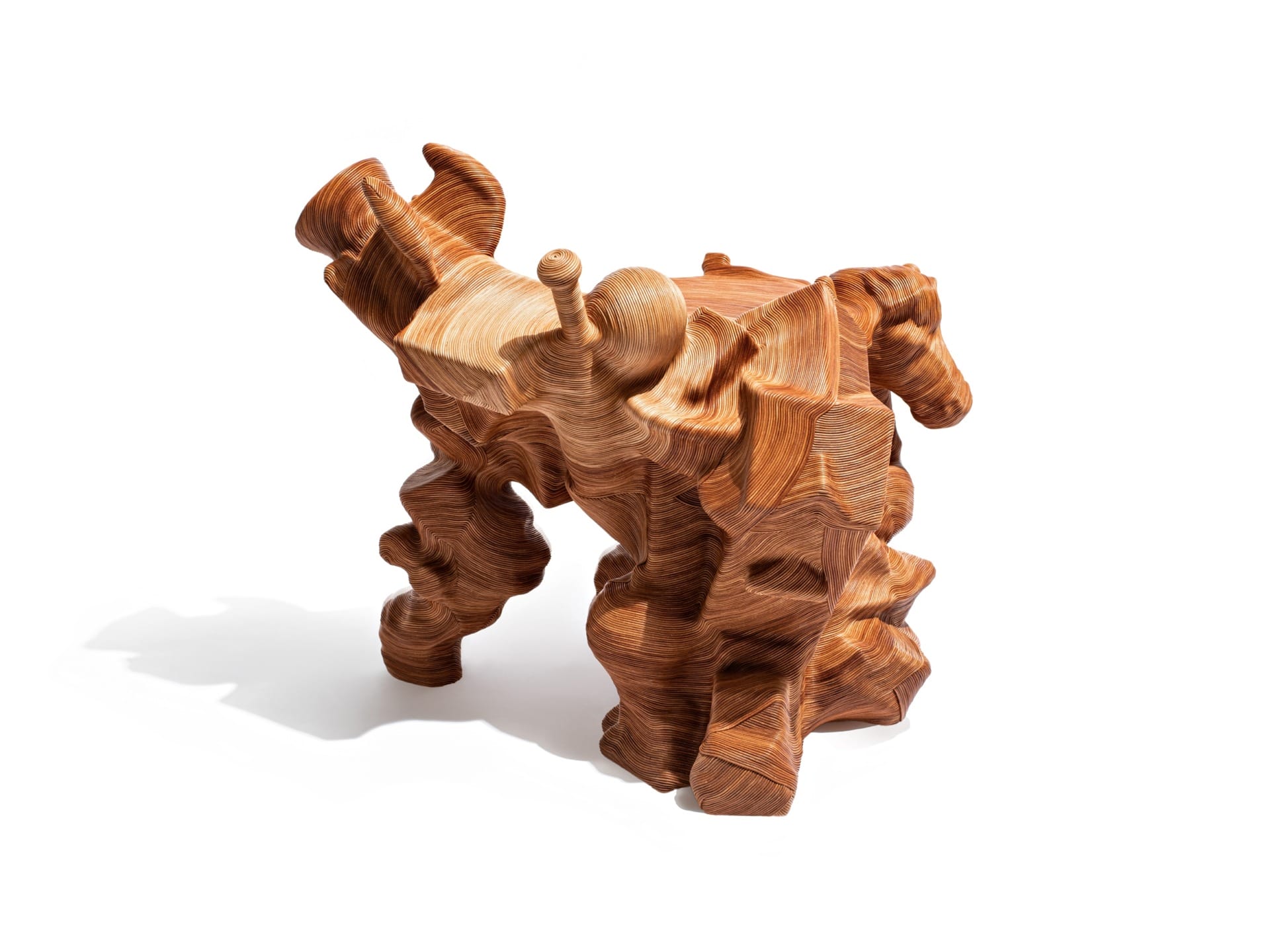 Intricate wooden sculpture with abstract, organic shapes on a white background.
