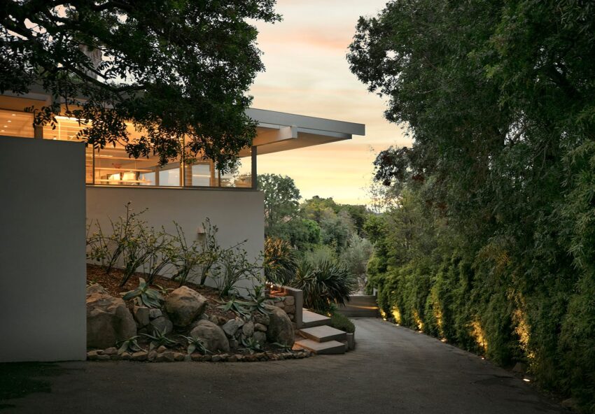 Modern house with large windows and a driveway surrounded by lush greenery and trees at sunset.