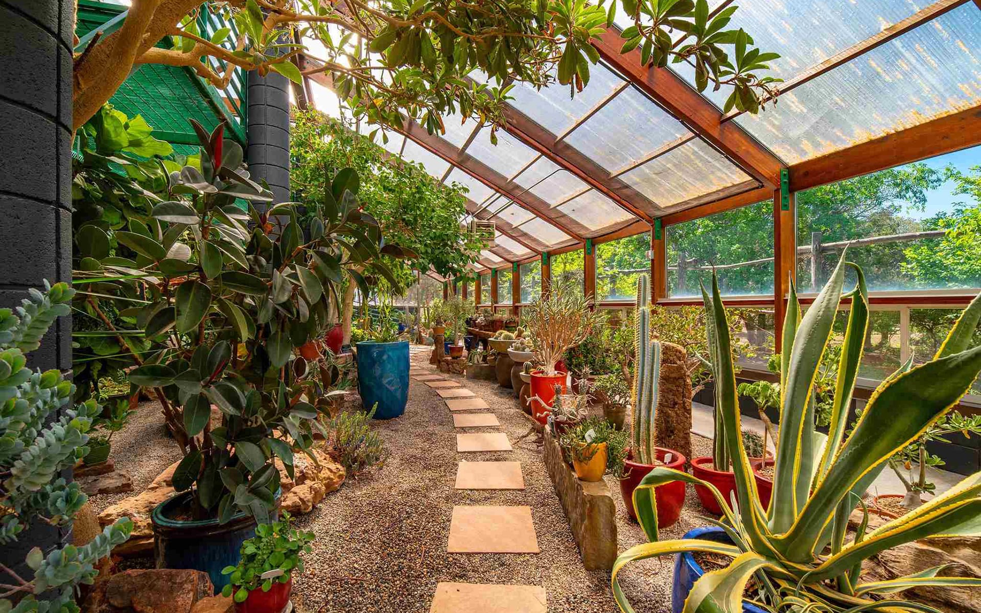 Greenhouse with various plants, sunlight streaming through glass roof, and a stone path leading through the foliage.