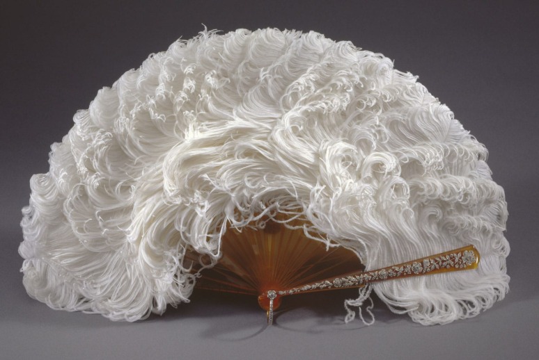 Ostrich fan.