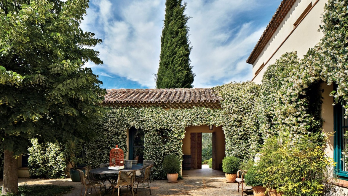 Outdoor patio with vines covering the walls, a table with chairs, potted plants, and a tree under a blue sky with clouds.