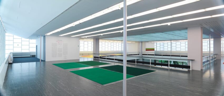 Spacious modern art gallery interior with large windows and minimalist design, featuring green carpeted areas on wooden floor.