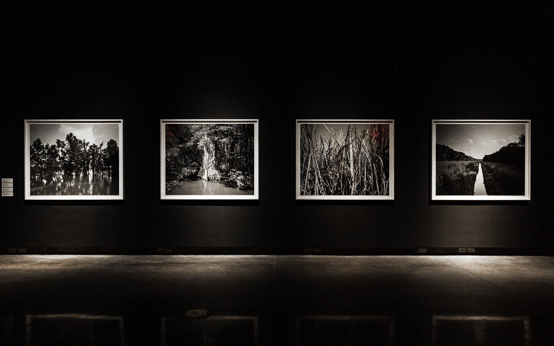 Four framed black and white landscape photographs displayed on a dimly lit gallery wall.