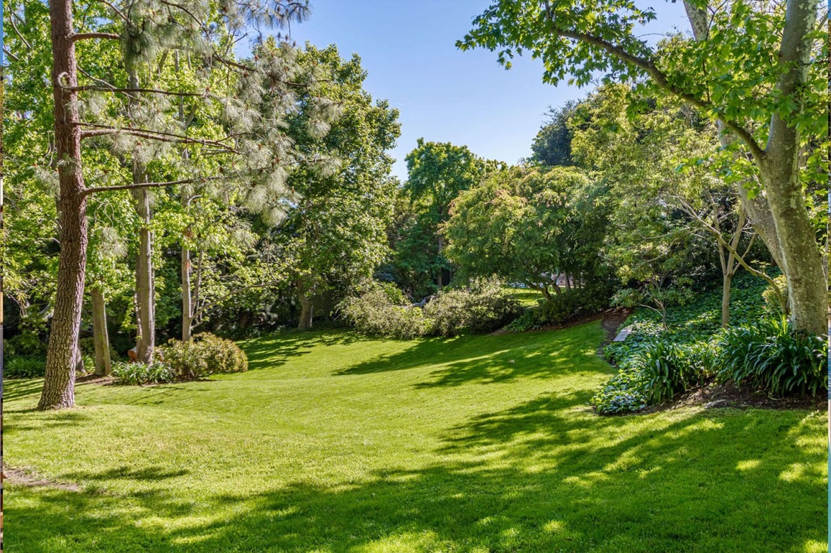 Lush green park with vibrant trees under a clear blue sky on a sunny day.