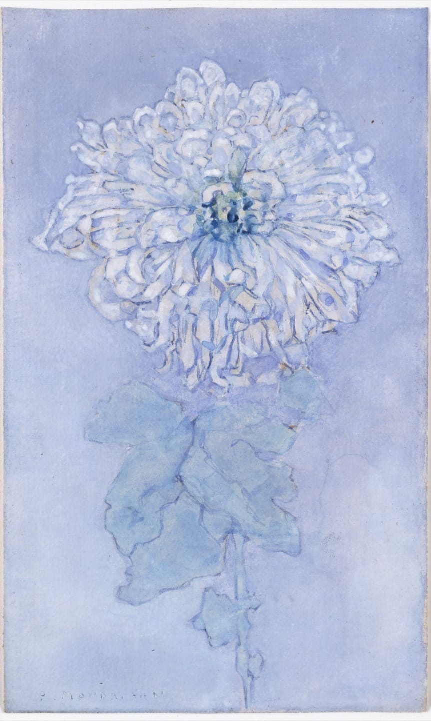 A delicate watercolor painting of a chrysanthemum with light blue and white petals on a soft blue background.
