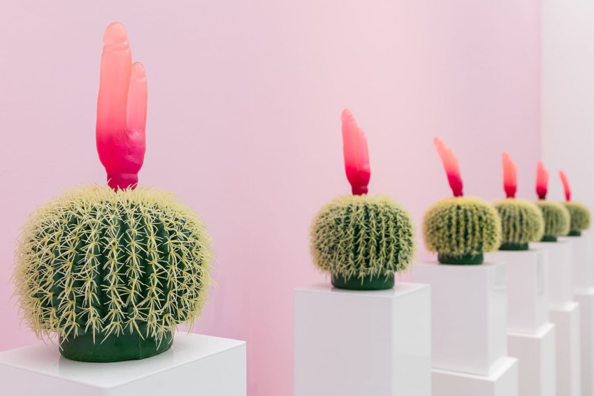 Colorful cacti with pink hand-shaped tops displayed on white pedestals against a pink background.