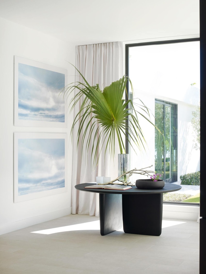 Modern interior with a black table, tropical plant, two landscape paintings on the wall, and large window view outside.