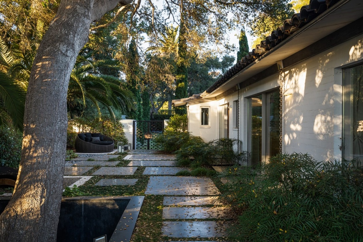 Modern backyard with stone path, large tree, and white house surrounded by lush greenery on a sunny day.