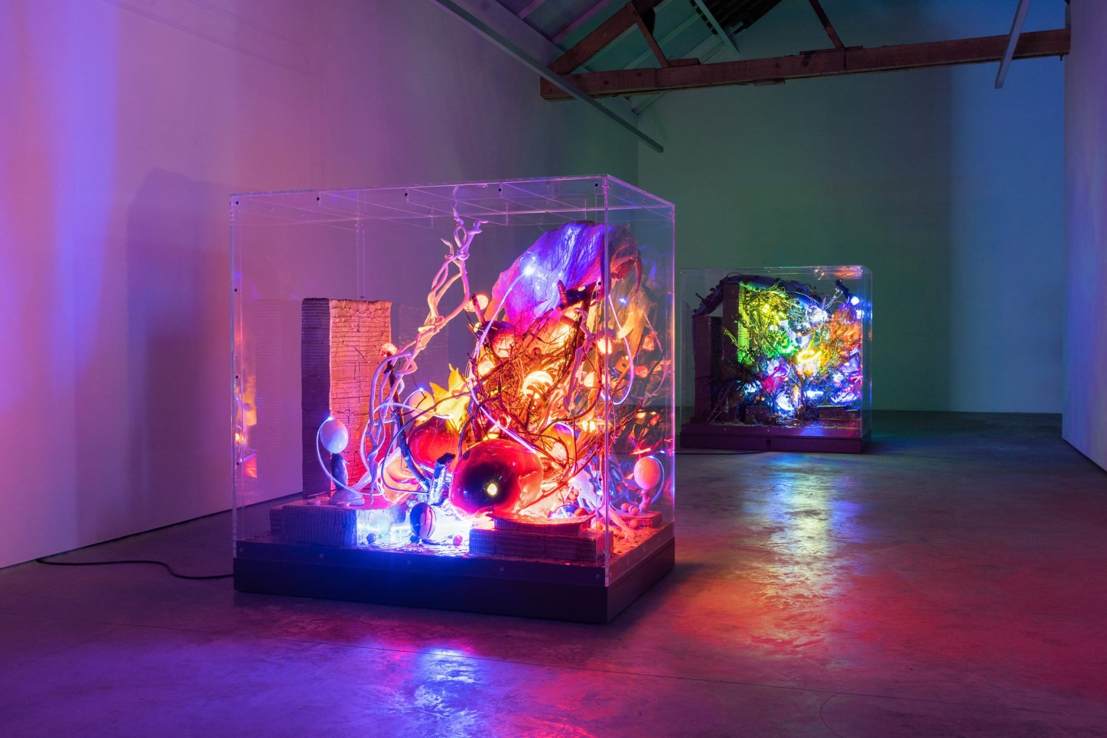 Colorful illuminated abstract sculptures in transparent display cases inside a dimly lit gallery.