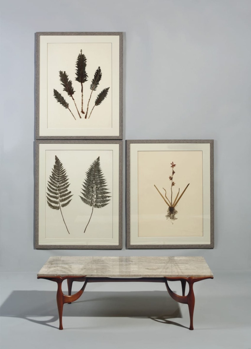 Three framed botanical prints above a wooden table with a marble top.