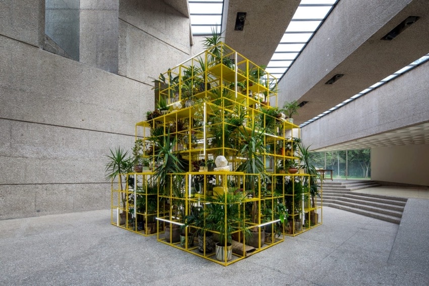 Indoor installation with yellow metal grid structure filled with various plants under skylit concrete architecture.