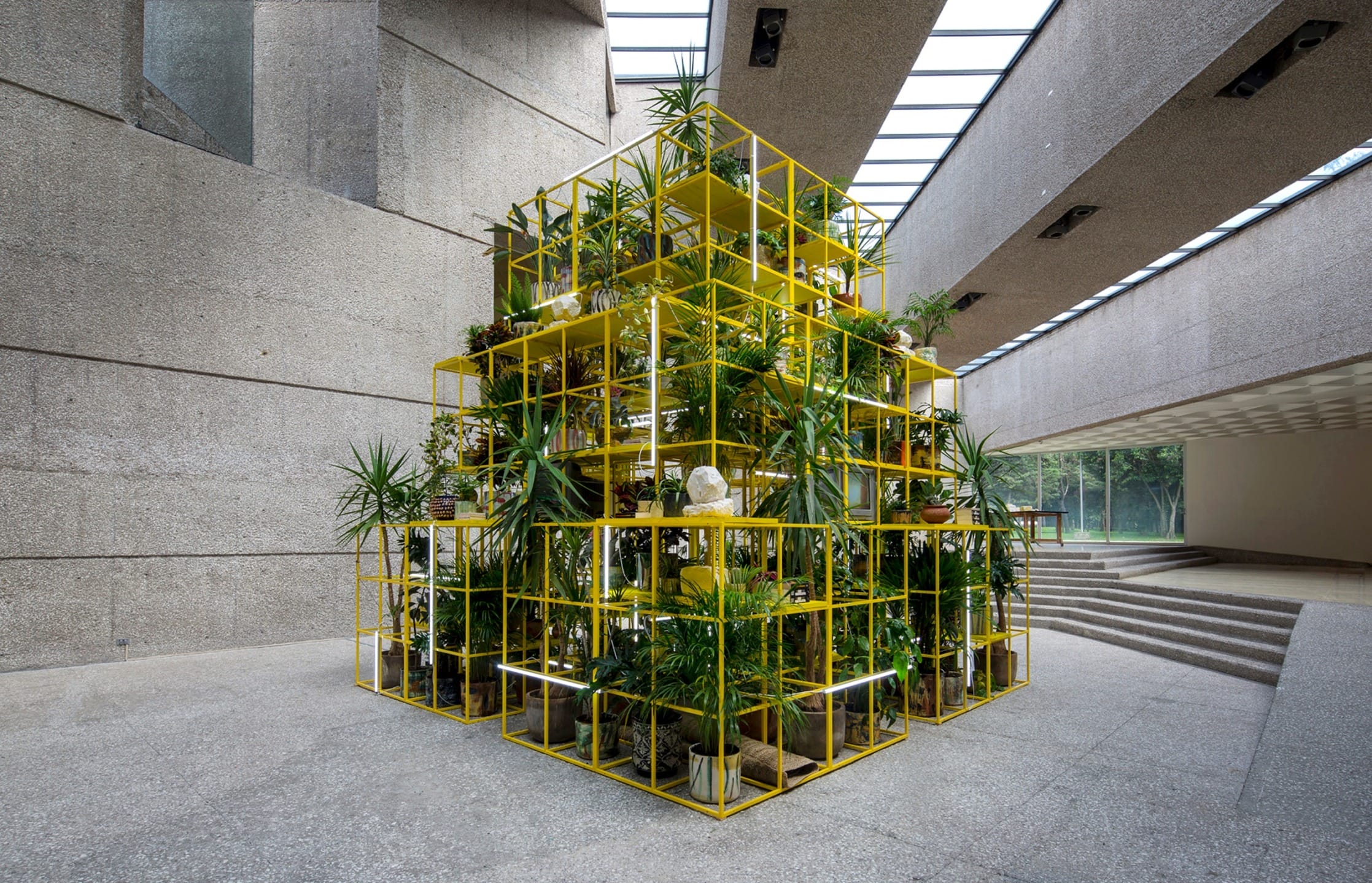 Yellow metal structure with various green plants in a modern architectural space with concrete walls and natural light.