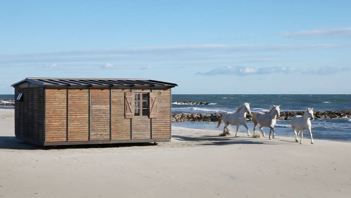Wooden shack on a sandy beach with three white horses running near the shoreline.