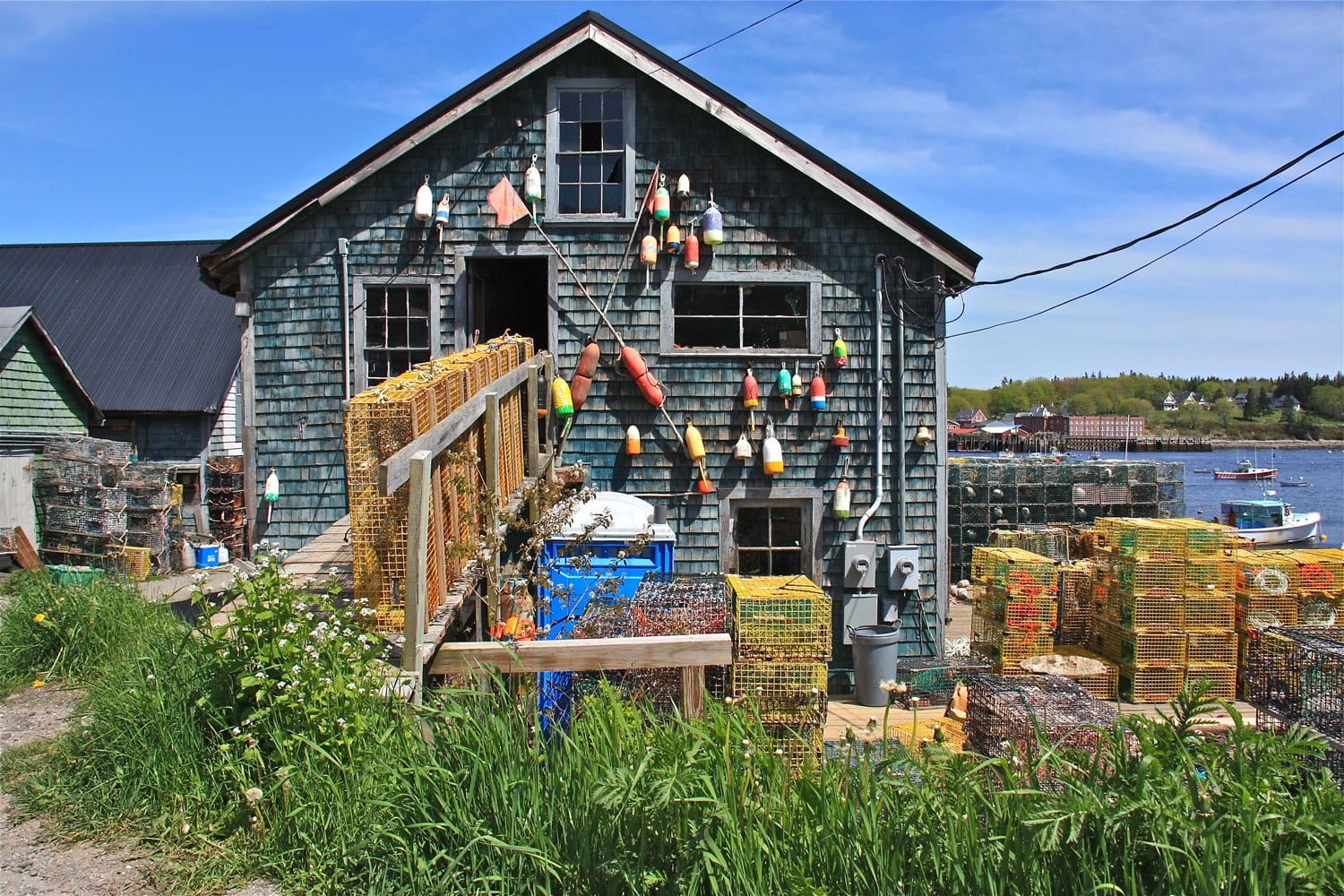 Rustic fishing shack with colorful buoys and lobster traps by the water, surrounded by green grass under a blue sky.
