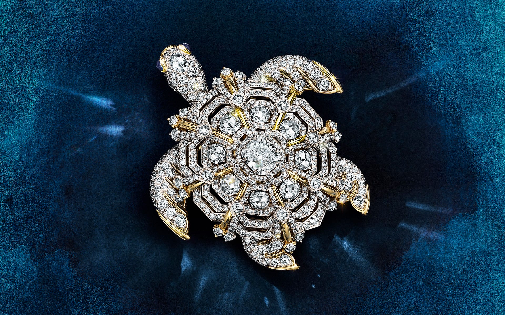 Selections from the “Sea of Wonder” collection.